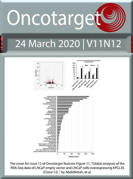 Oncotarget-V11N12